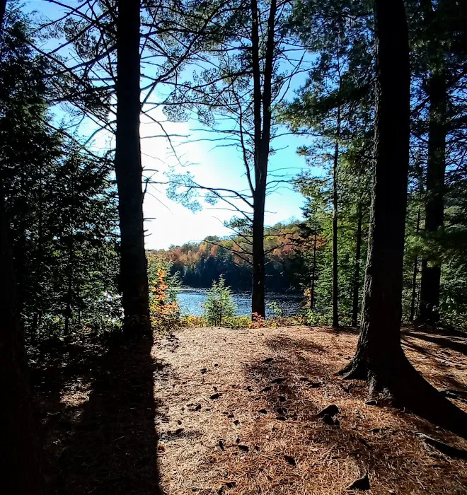 Dippikill Wilderness Retreat 4