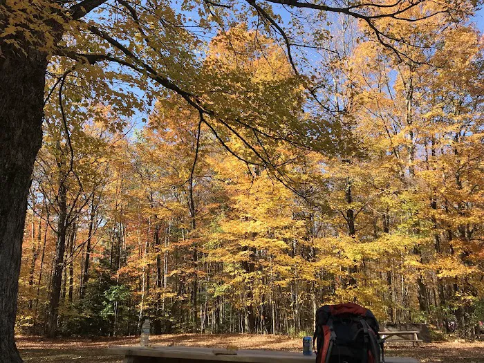 Dippikill Wilderness Retreat 3
