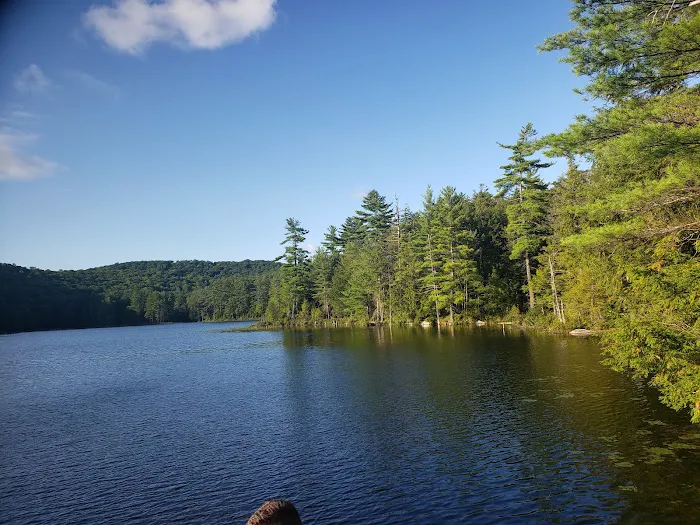 Dippikill Wilderness Retreat 2