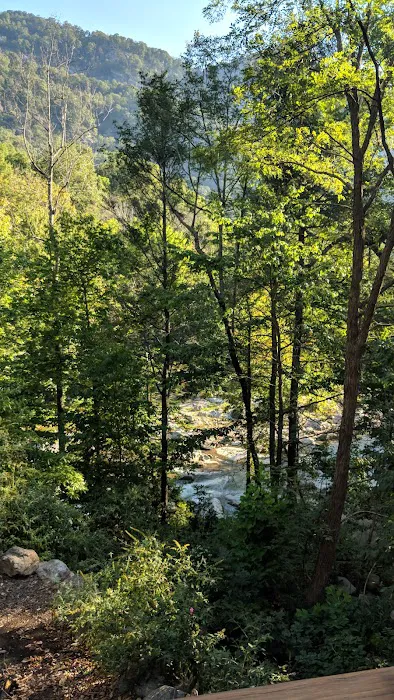 Hickory Nut Falls Family Campground 6