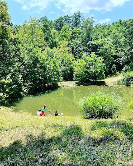 Drala Point Campgrounds 3