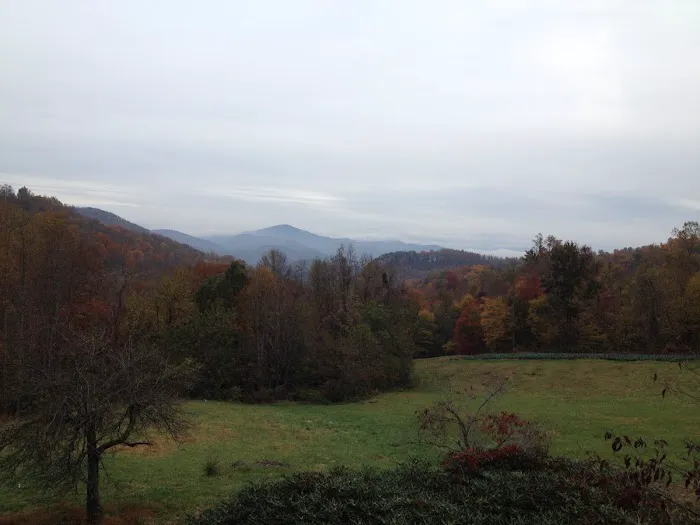 Drala Point Campgrounds 7