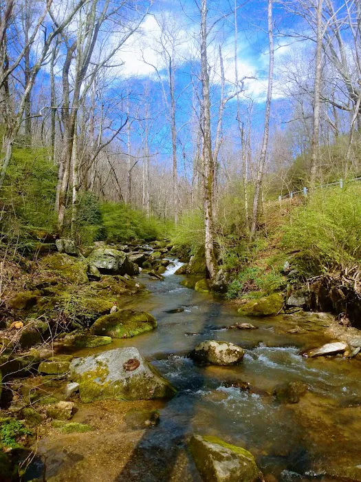 Creekside Mountain Camping 3
