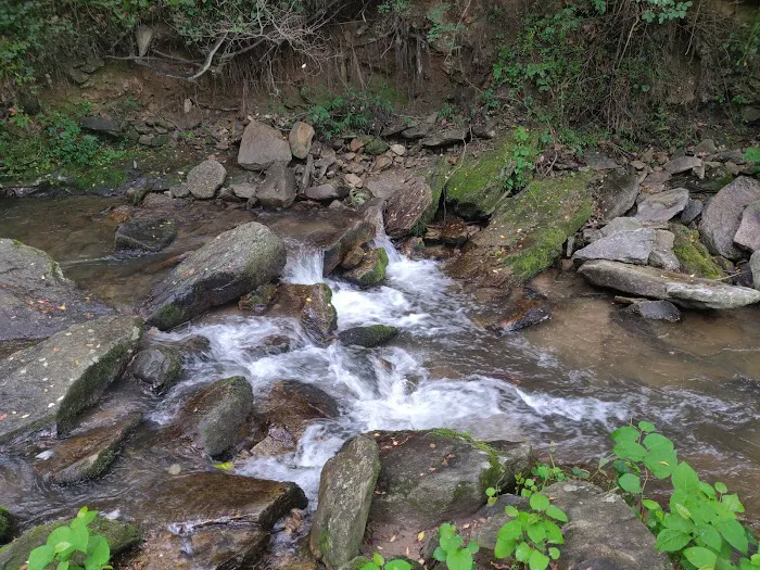 Creekside Mountain Camping 5