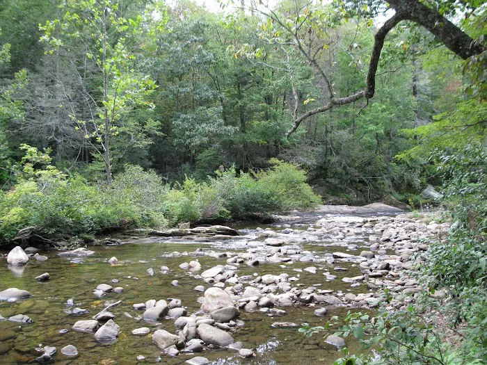Carolina Hemlocks Recreation Area 2