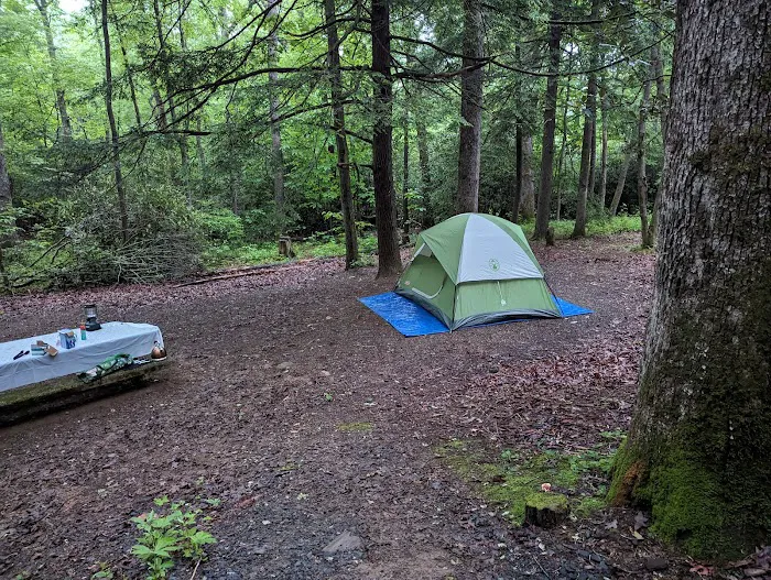 Carolina Hemlocks Recreation Area 4