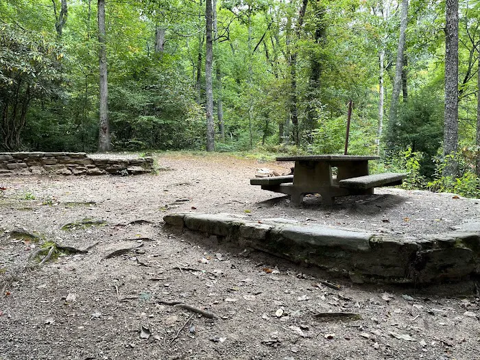 Carolina Hemlocks Recreation Area 3