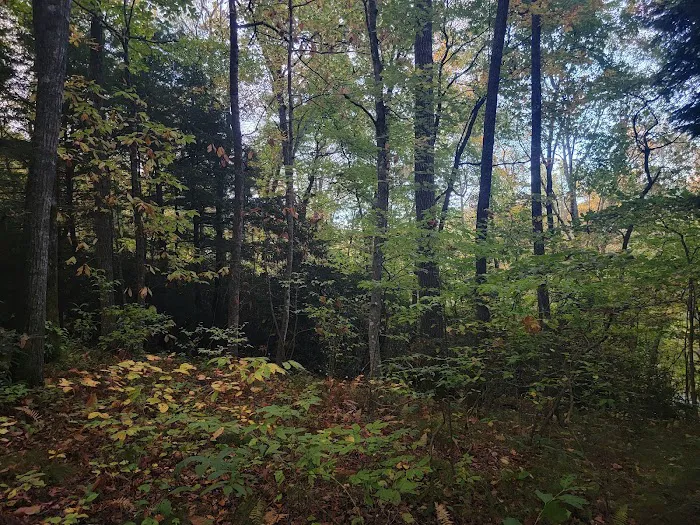 Carolina Hemlocks Recreation Area 6
