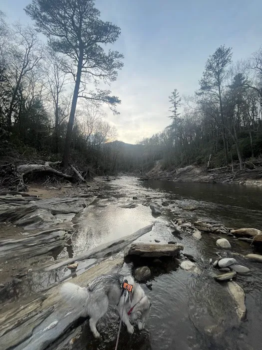Carolina Hemlocks Recreation Area 8