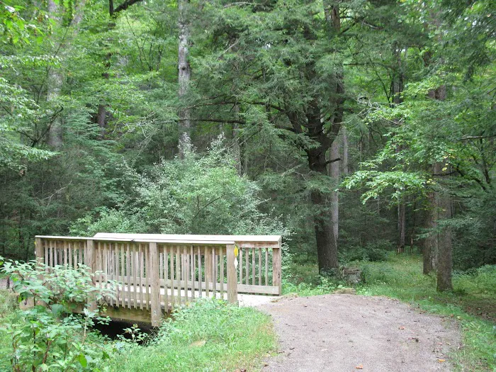Black Mountain Campground/Briar Bottom Group Campground 3