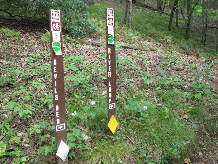 Black Mountain Campground/Briar Bottom Group Campground 4