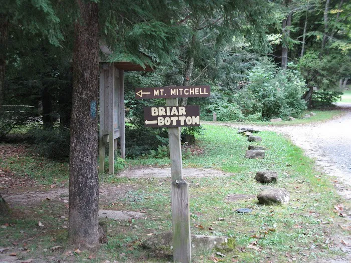 Black Mountain Campground/Briar Bottom Group Campground 1