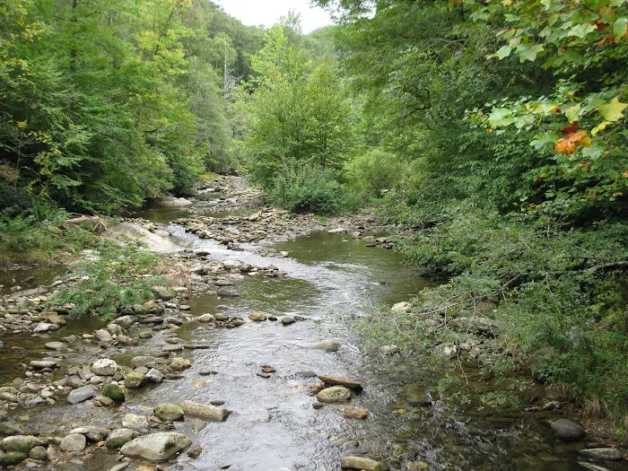 Black Mountain Campground/Briar Bottom Group Campground 6