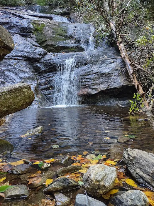 Black Mountain Campground/Briar Bottom Group Campground 7