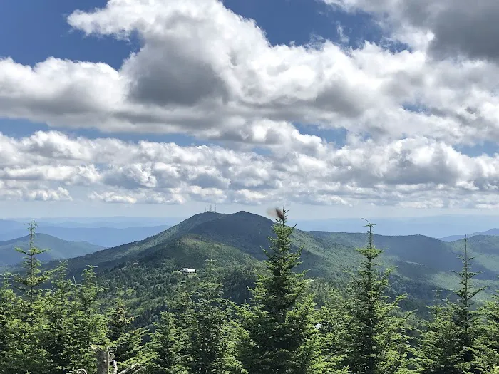 Black Mountain Campground/Briar Bottom Group Campground 9