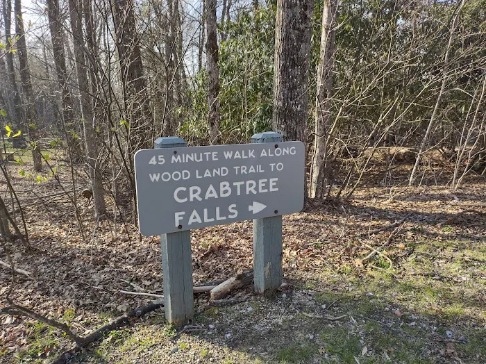 Crabtree Falls Campground 3