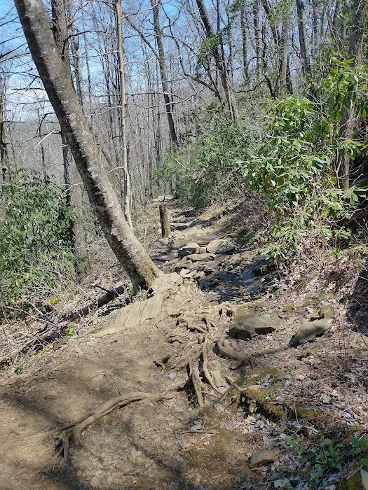 Crabtree Falls Campground 6