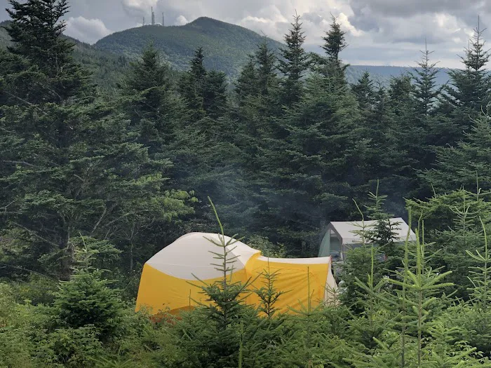 Mt. Mitchell Campground 4