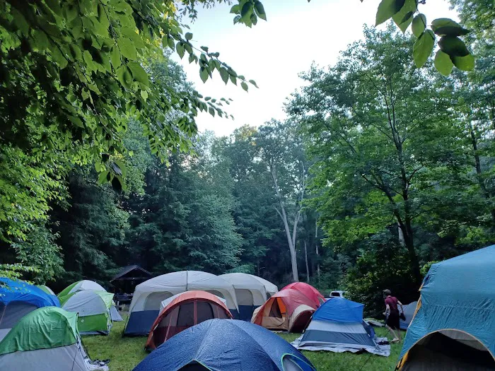 Mt. Mitchell Campground 6