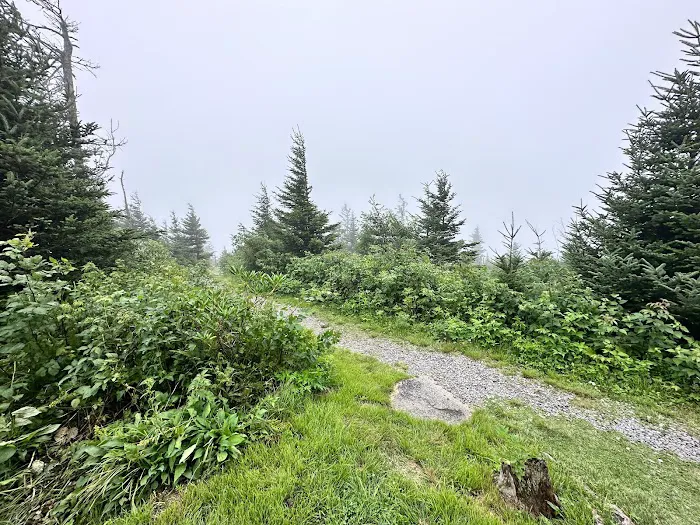 Mt. Mitchell Campground 9
