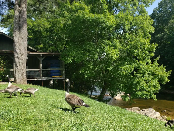 Yancey County Toe River Campground 5
