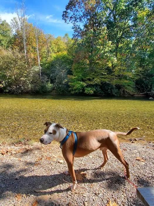 Yancey County Toe River Campground 8