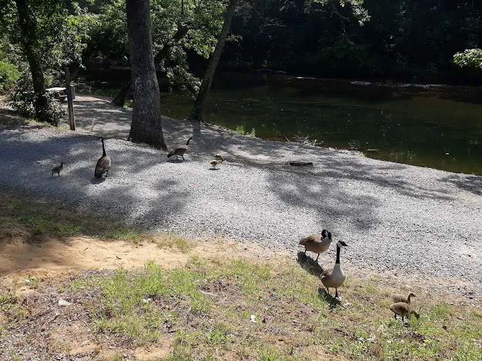 Yancey County Toe River Campground 7