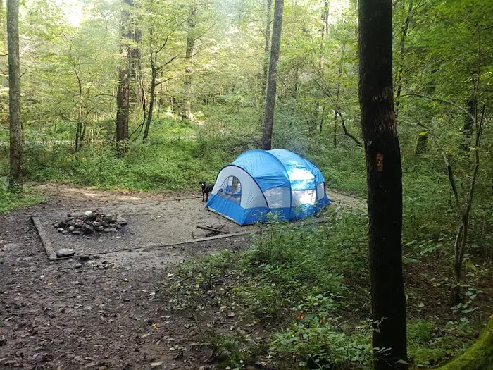 Curtis Creek Campground 1