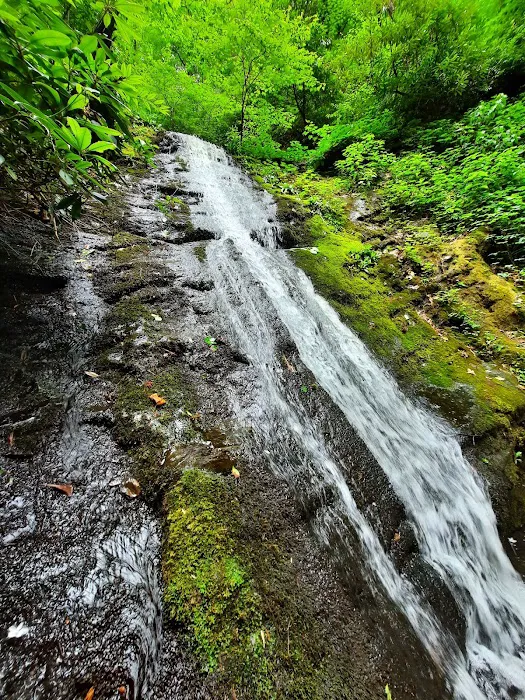 Curtis Creek Campground 0