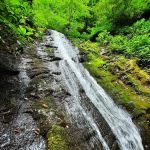 Curtis Creek Campground