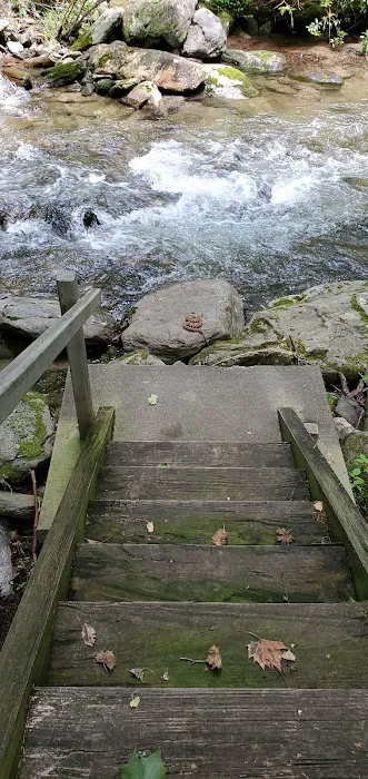 Curtis Creek Campground 2