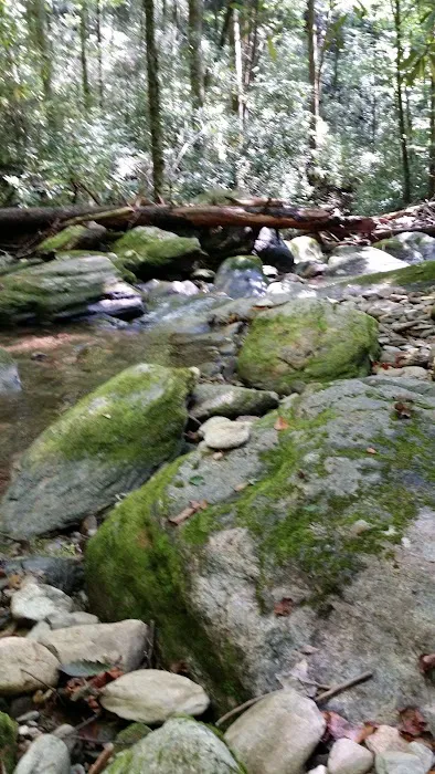 Curtis Creek Campground 3