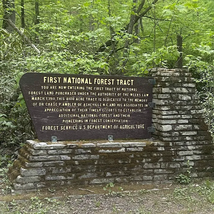 Curtis Creek Campground 4