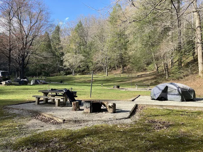 Curtis Creek Campground 6