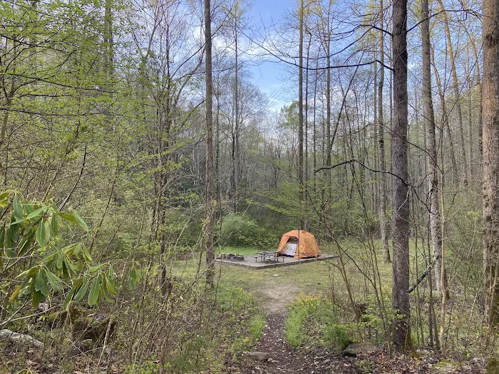 Curtis Creek Campground 9