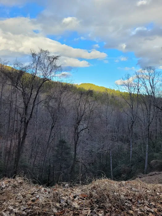 Curtis Creek Campground 8