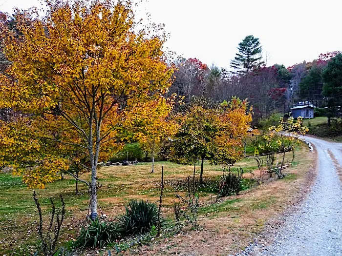 The Campground Rez 9