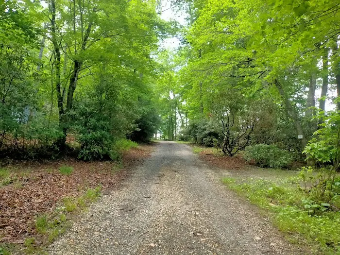 Spruce Pine Campground 4