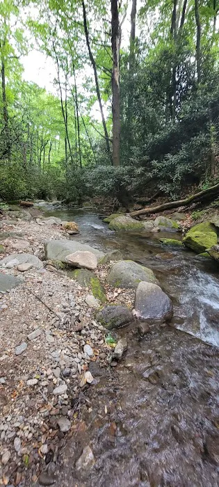 Montreat Campground 7
