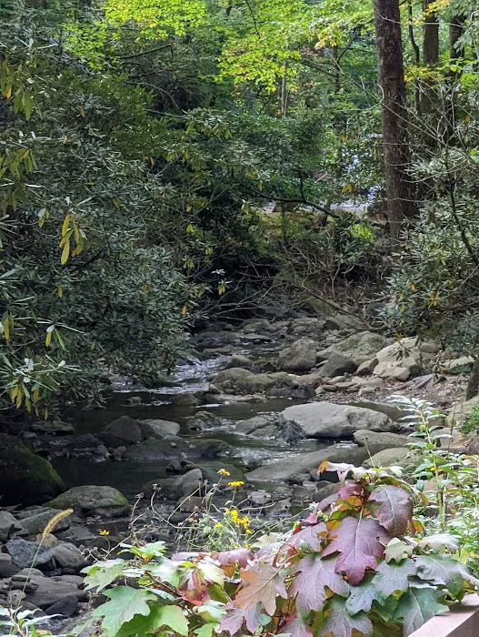 Montreat Campground 9
