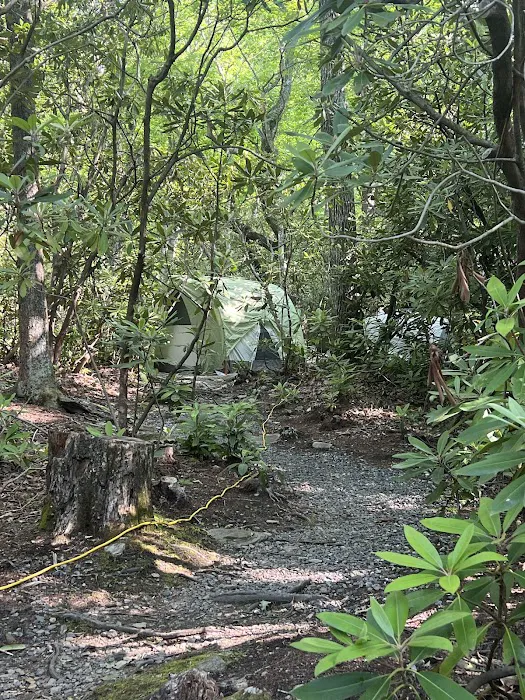 Montreat Campground 8