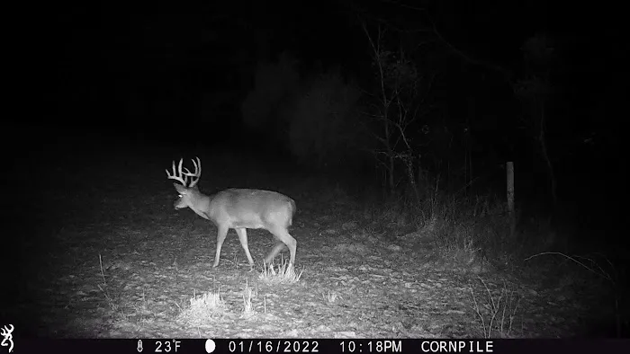 Mollys Ridge 7
