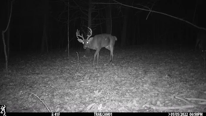 Mollys Ridge 8
