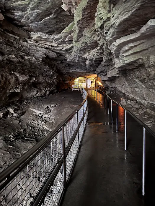 Mammoth Cave Campground 0
