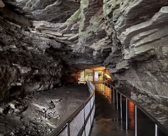 Mammoth Cave Campground