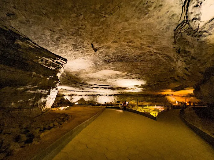 Mammoth Cave Campground 1