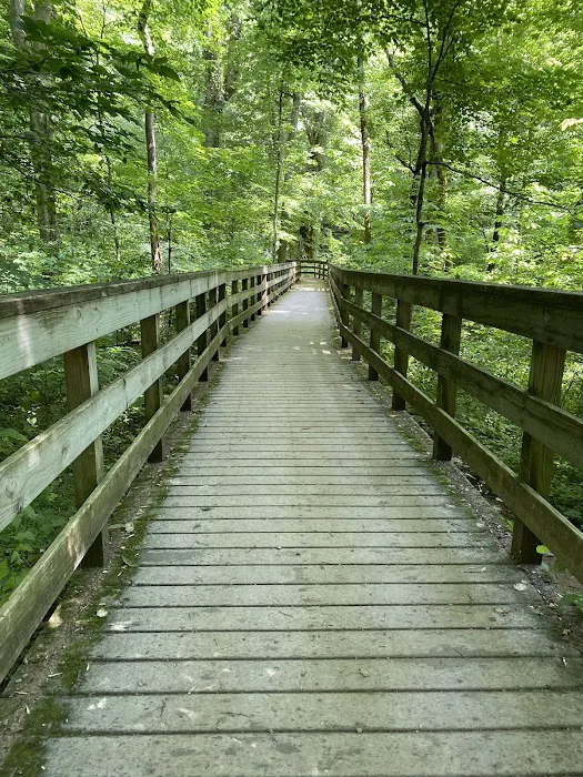 Mammoth Cave Campground 8