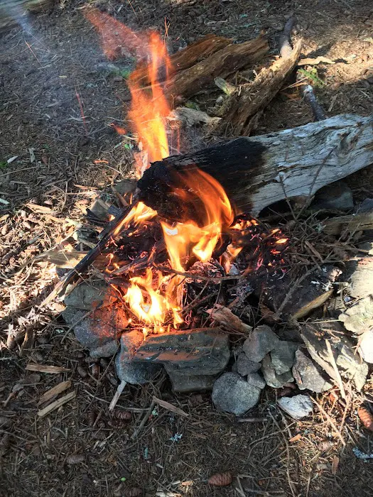 Backcountry Campsite #38 6