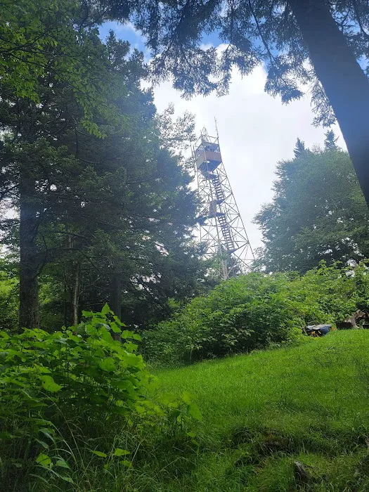 Backcountry Campsite #38 7
