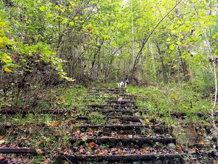Rocky Bluff Campground 3